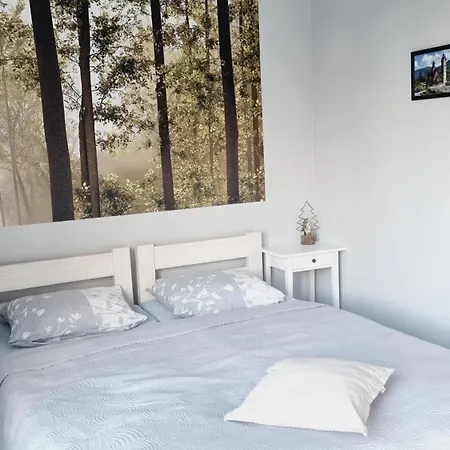 Homestay Goscinne Pod Lasem Karpacz